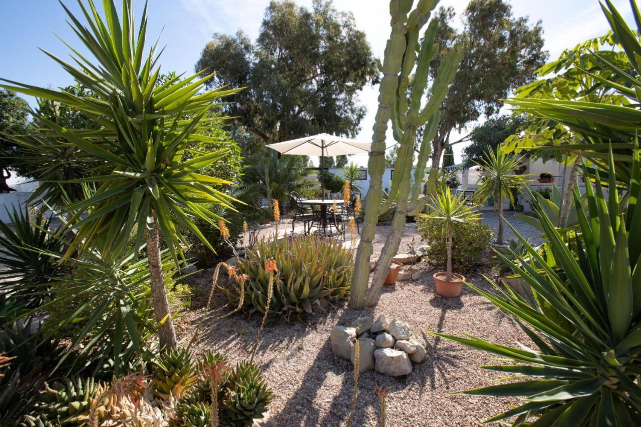 Apartment Costa Blanca Mutxamel Εξωτερικό φωτογραφία
