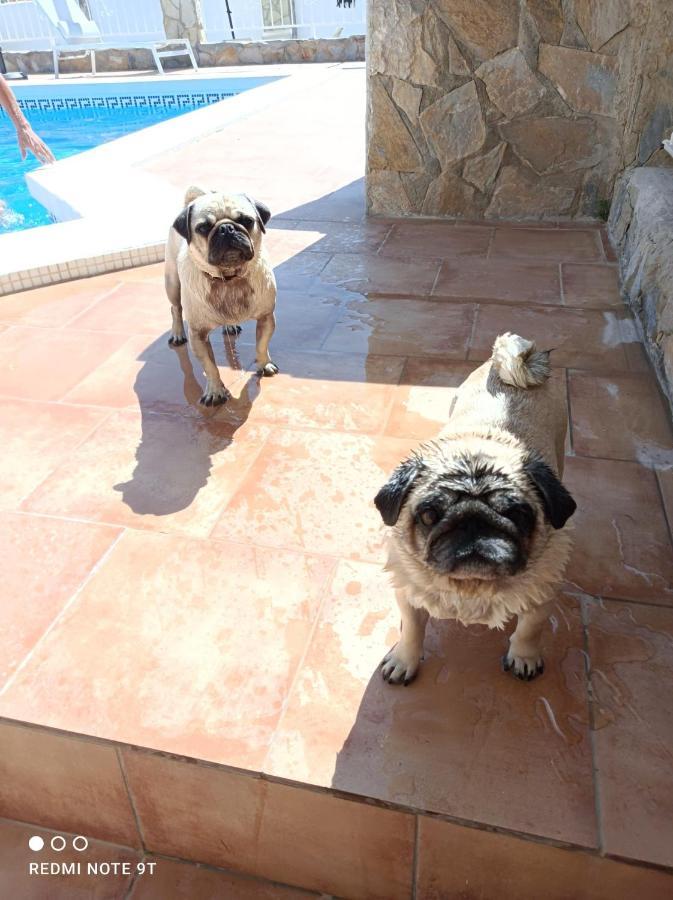Apartment Costa Blanca Mutxamel Εξωτερικό φωτογραφία